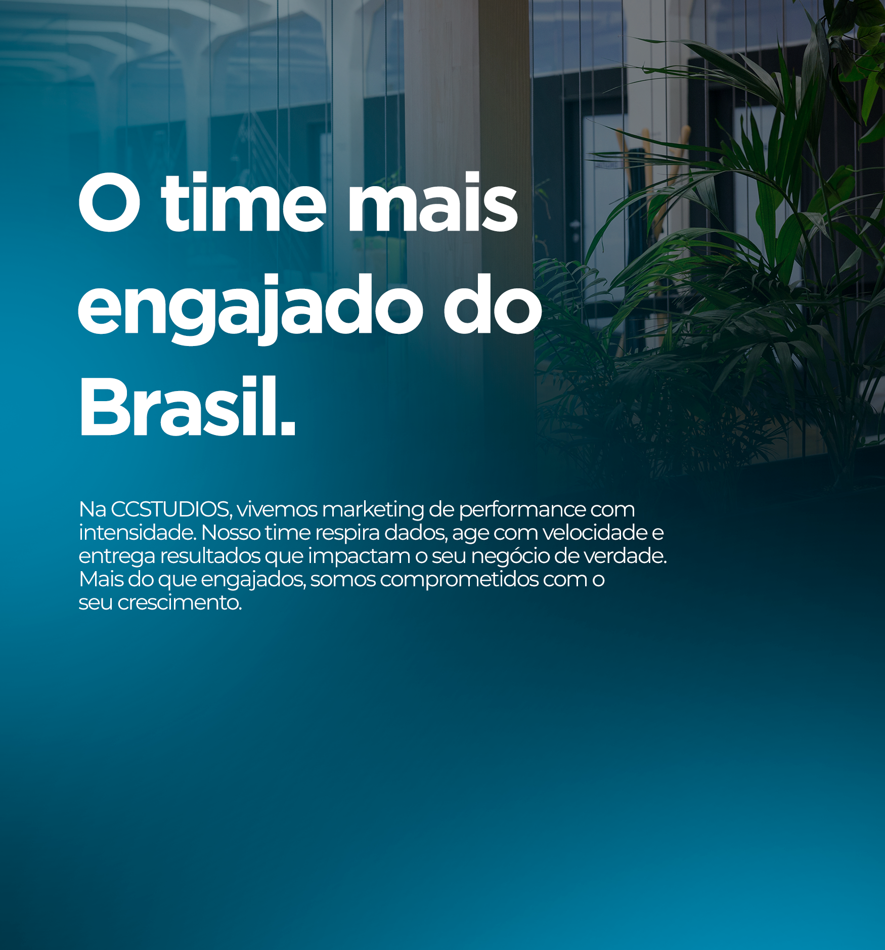 Equipe CC Studios